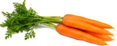 Морковь