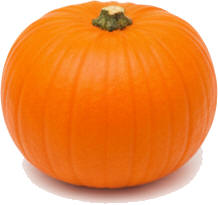 Тыква или Кабачек