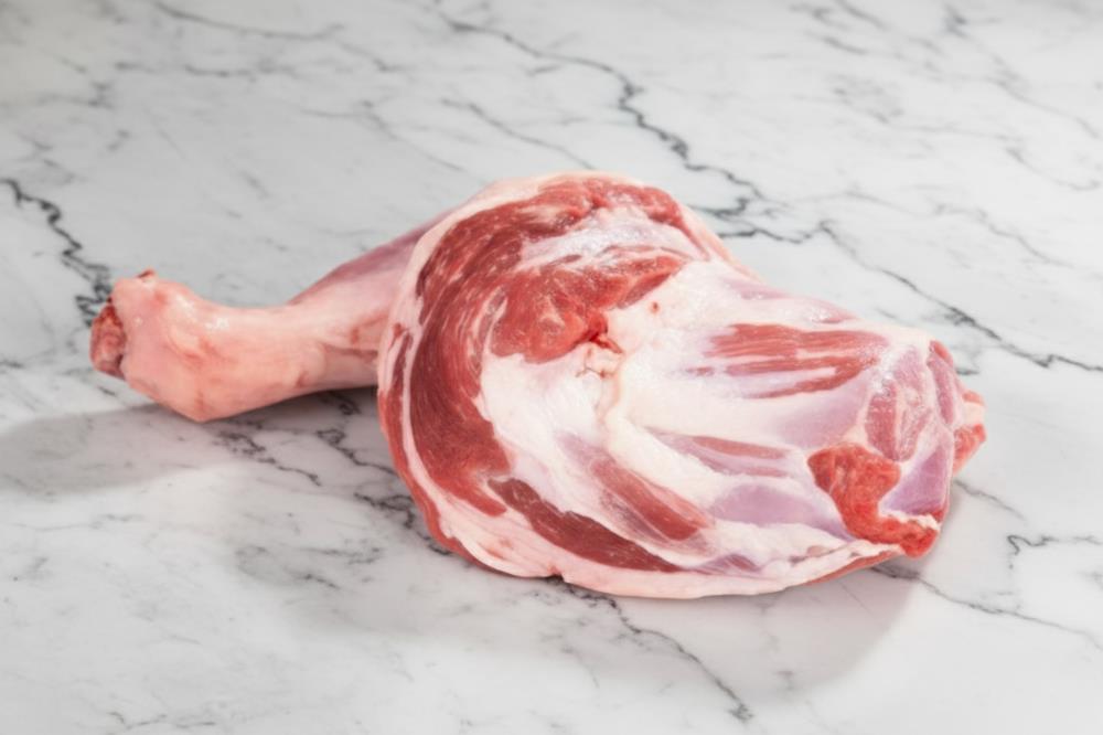 Лопатка (лепесток)